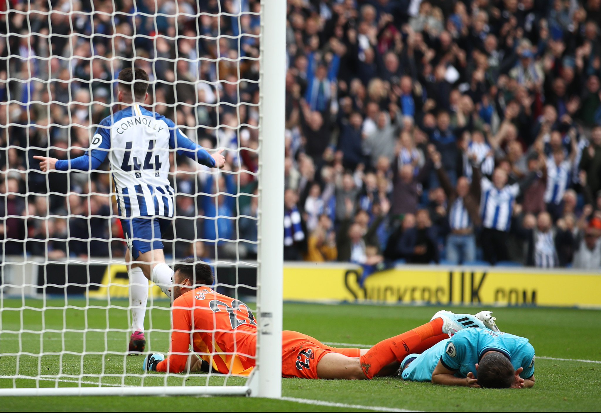 组委会将引 组委会将引